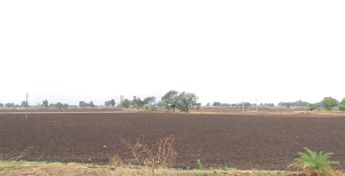 Jaora, Madhya Pradesh 457226, India