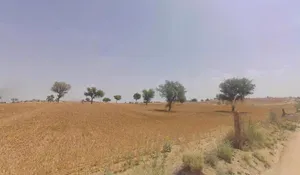 Shri Dungargarh, Rajasthan, India preview 2