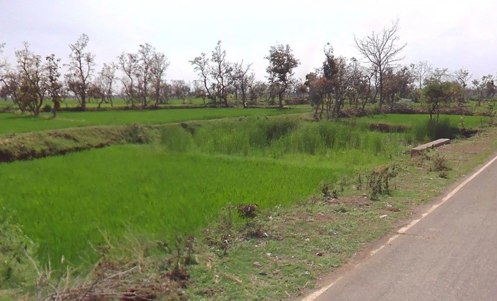 Mudiyadih, Chhattisgarh 493449, India