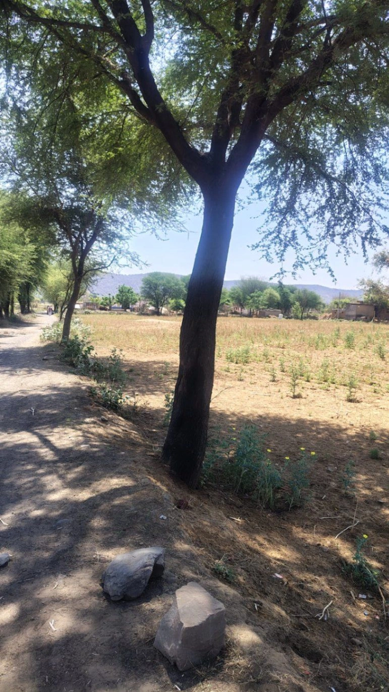 Berla, Rajasthan 321633, India preview 2