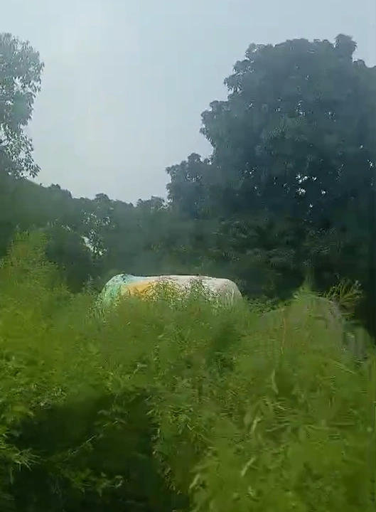 Bhatola, Bulandshahr, Uttar Pradesh 203395, India