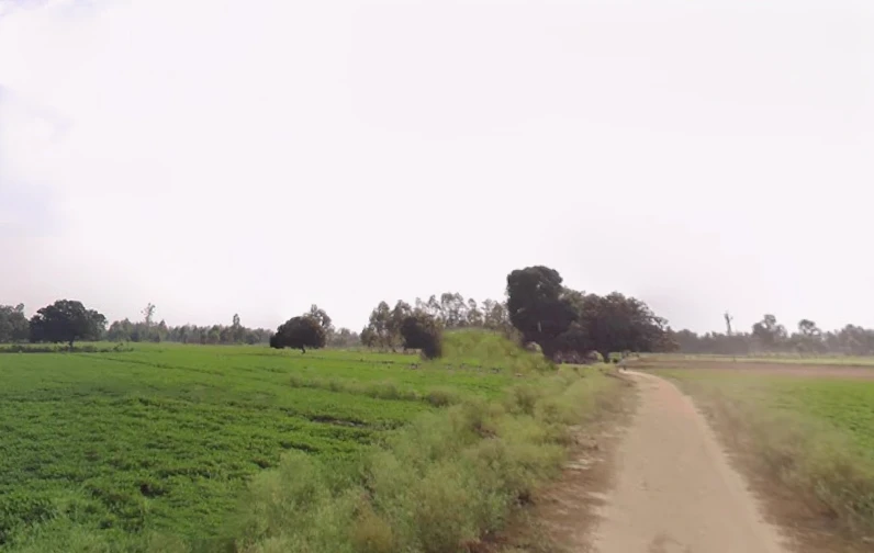 Parashurampuri, Uttar Pradesh 242221, India