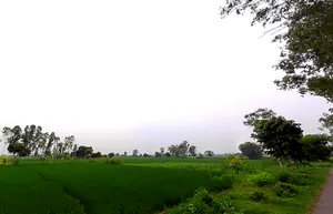 Shahpur, Haryana 132107, India preview 2