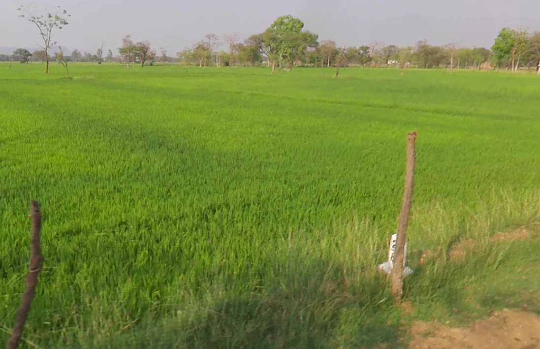Jondhra, Chhattisgarh, India