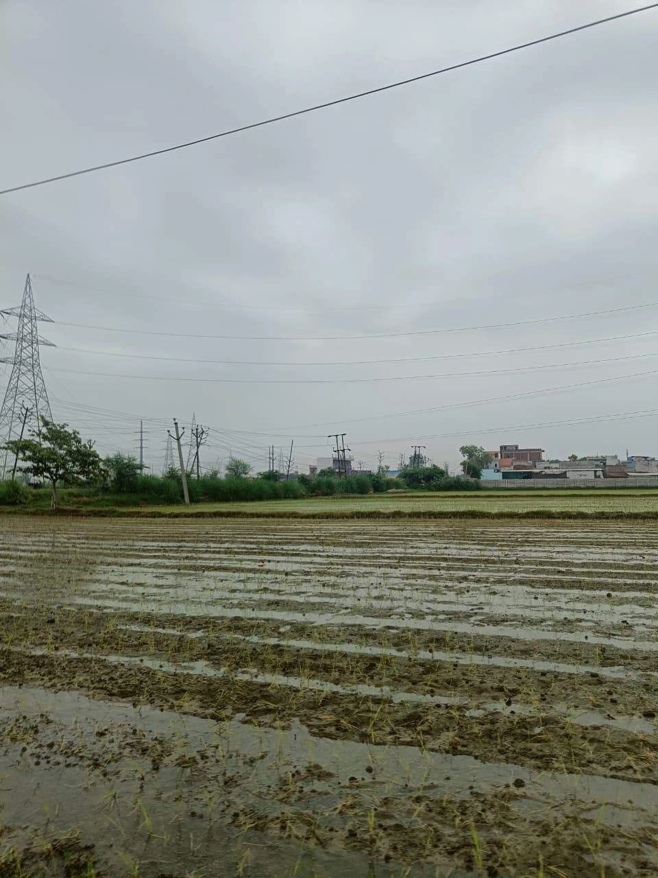 Bukharari, Mathura, Uttar Pradesh, India