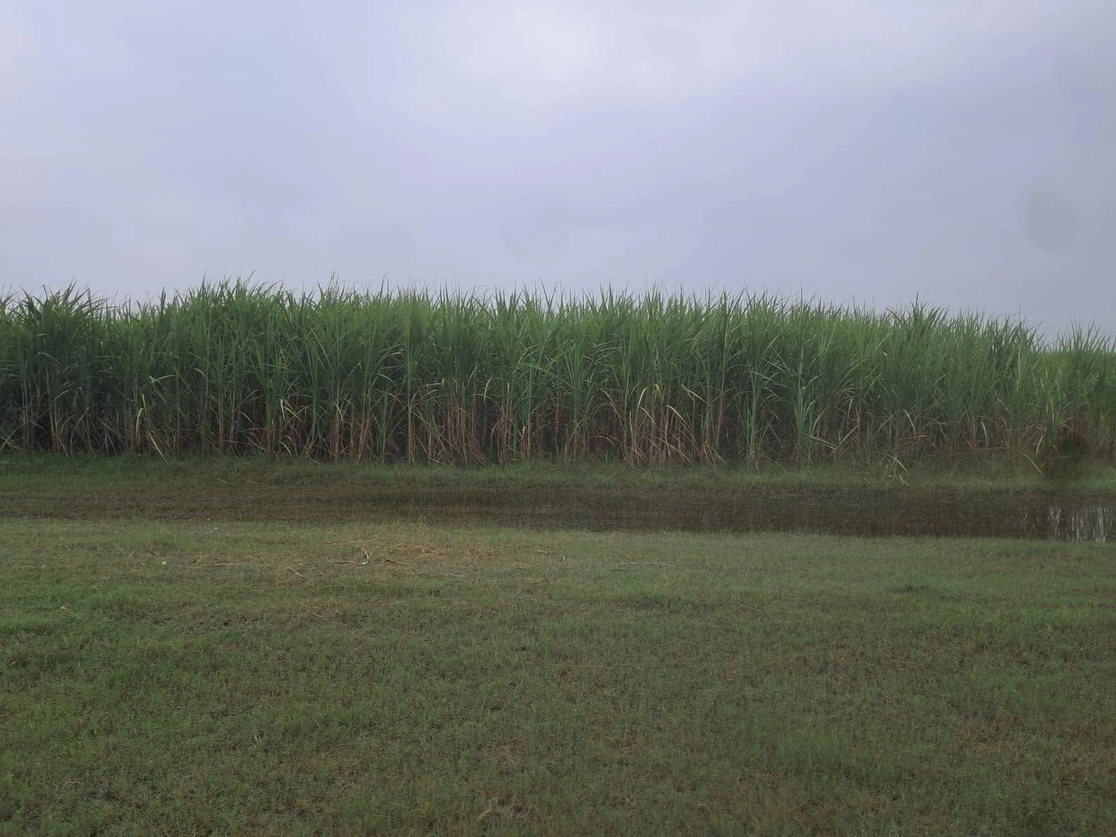 Q745+H9, Ayodhya, Sita Rampur, Uttar Pradesh 272129, India