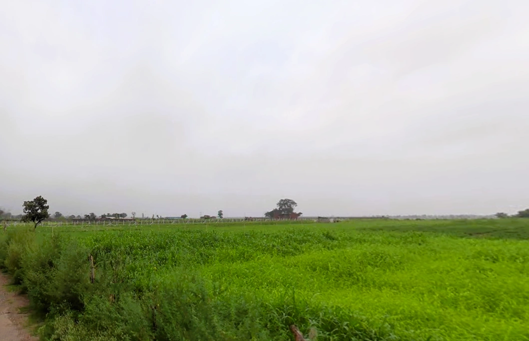 Shyampur, Uttarakhand 249408, India