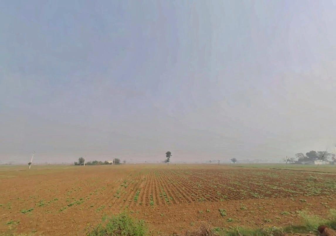 XRVW+7M Jojaka, Rajasthan, India