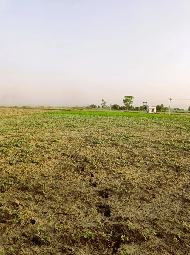 Dhoblai, Rajasthan 303712, India