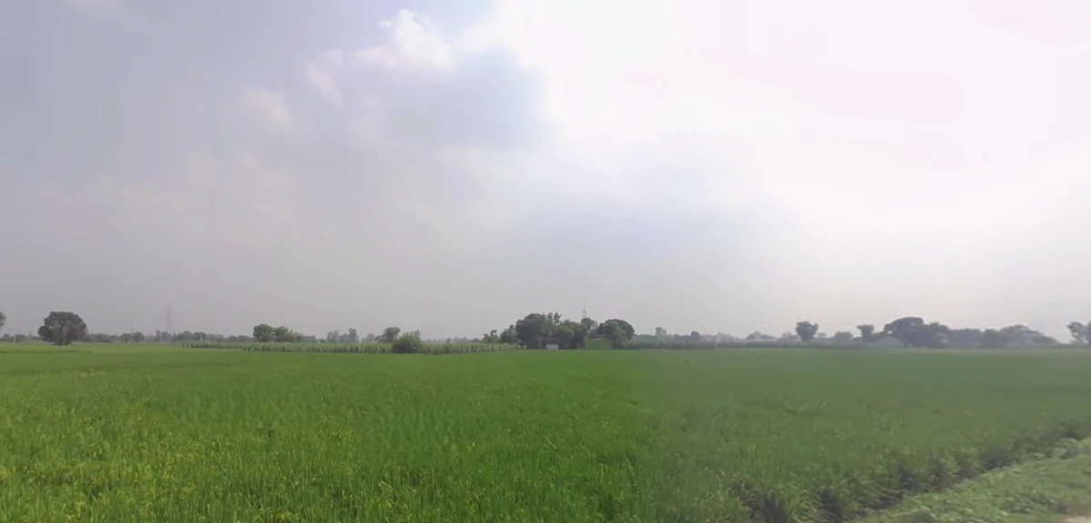 Sapror, Punjab, India