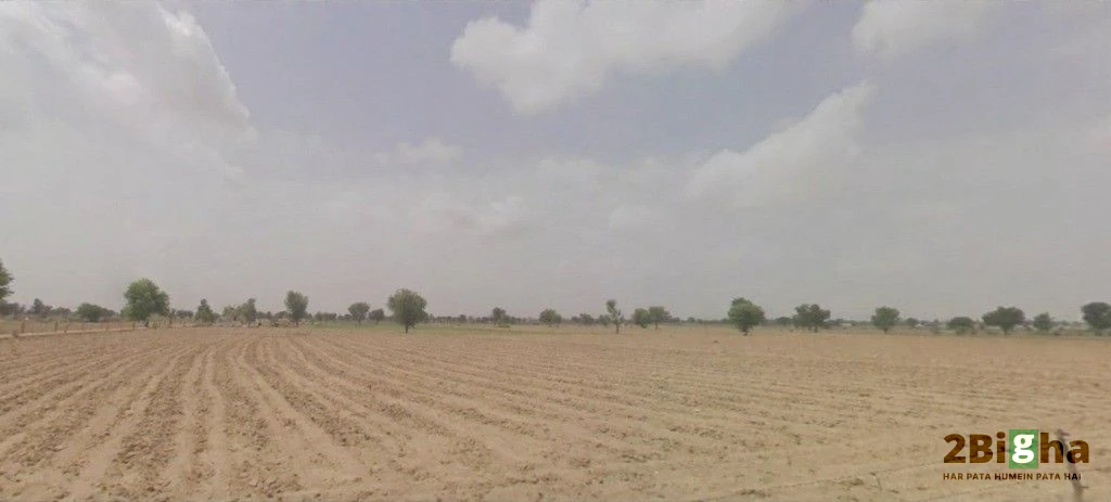 Bhanawatawala, Rajasthan 334808, India