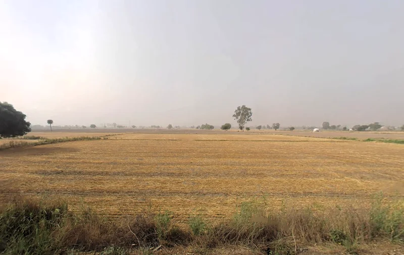 Pirthla, Haryana, India preview 2