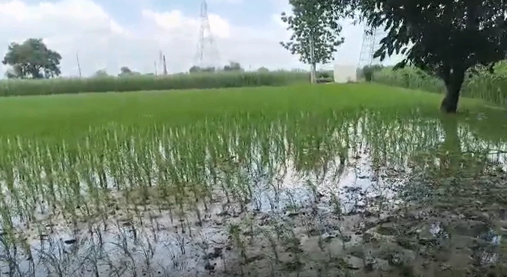 Incholi, Meerut, Uttar Pradesh 250001, India