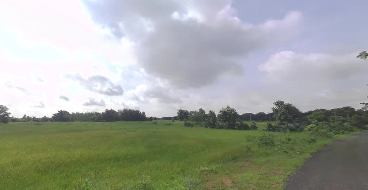 Kadi - Jotana Rd, Chalasan, Gujarat 384421, India