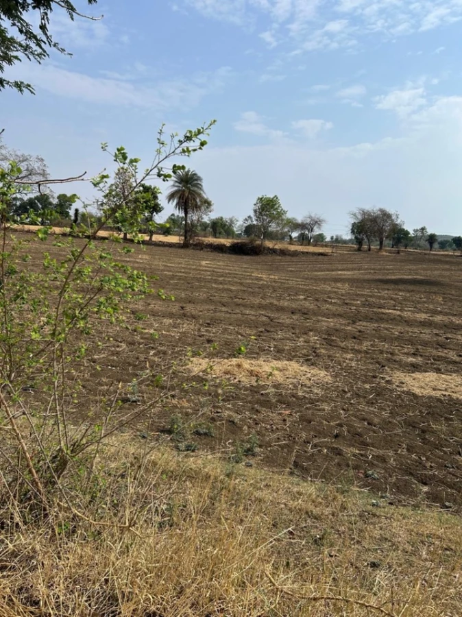 Taraisewaniya, Madhya Pradesh 462036, India