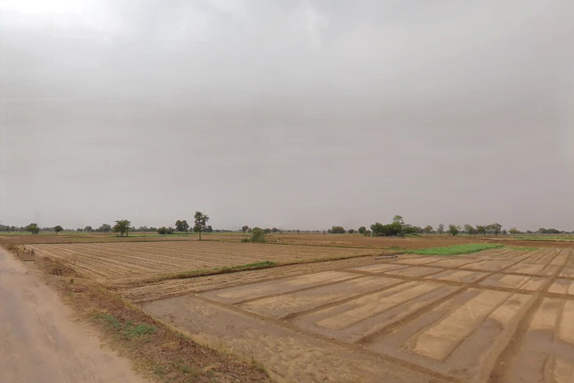 FXXR+3F7, Daulatabad, Gurugram, Haryana 122006, India