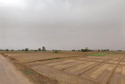 FXXR+3F7, Daulatabad, Gurugram, Haryana 122006, India preview 3