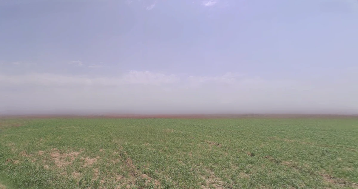 Rajpura, Punjab, India