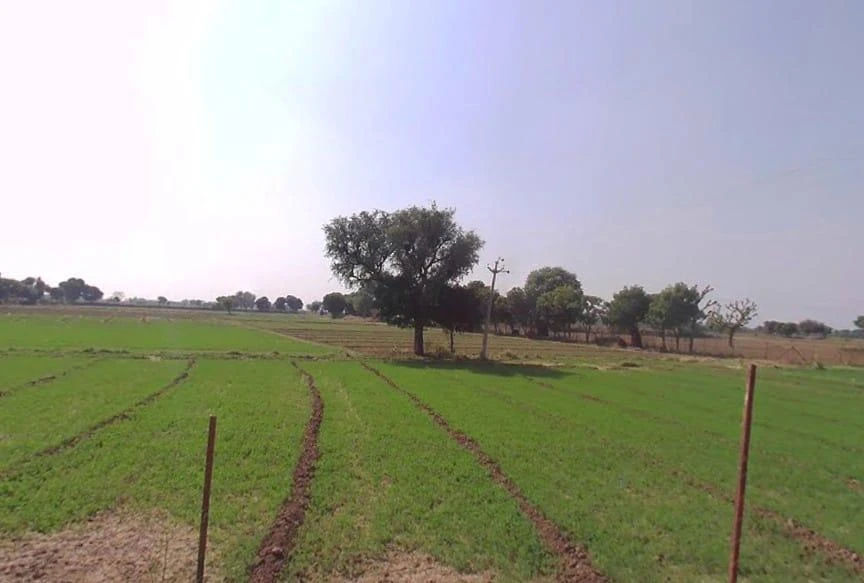 Dausa, Rajasthan 303303, India