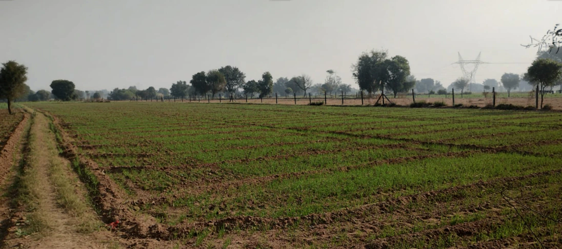 Bhanohad, Punjab 141102, India
