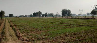 Bhanohad, Punjab 141102, India preview 2