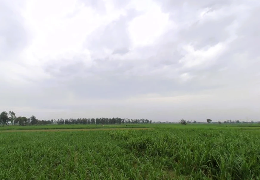 Shahpur Dhameri, Uttar Pradesh, India