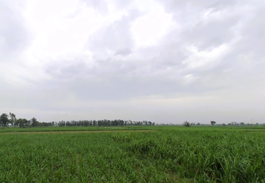 Shahpur Dhameri, Uttar Pradesh, India