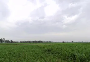 Shahpur Dhameri, Uttar Pradesh, India preview 3