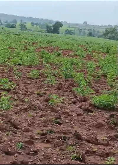 Balwada, Dhar, Madhya Pradesh 451224, India preview 2