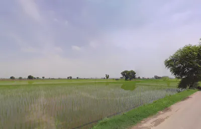 7VJX+4RJ, Balaana, Haryana 132145, India preview 2