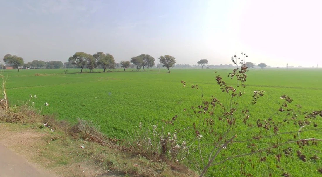 Musahari, Madhya Pradesh 475220, India