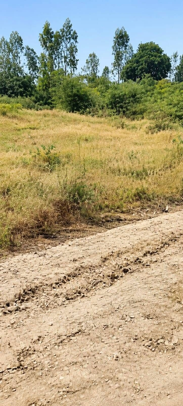 Rasulpur, Hardoi, Uttar Pradesh, India