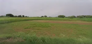 Unnao, Uttar Pradesh, India preview 3