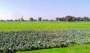 Tonk Khurd, Madhya Pradesh 455116, India preview 3