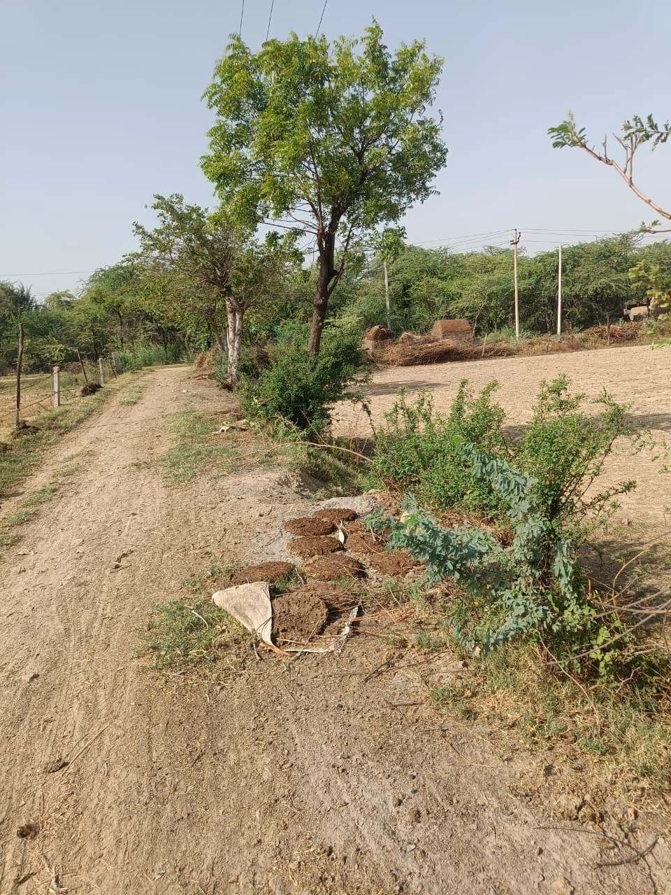 Ajhai Kalan, Uttar Pradesh 281406, India