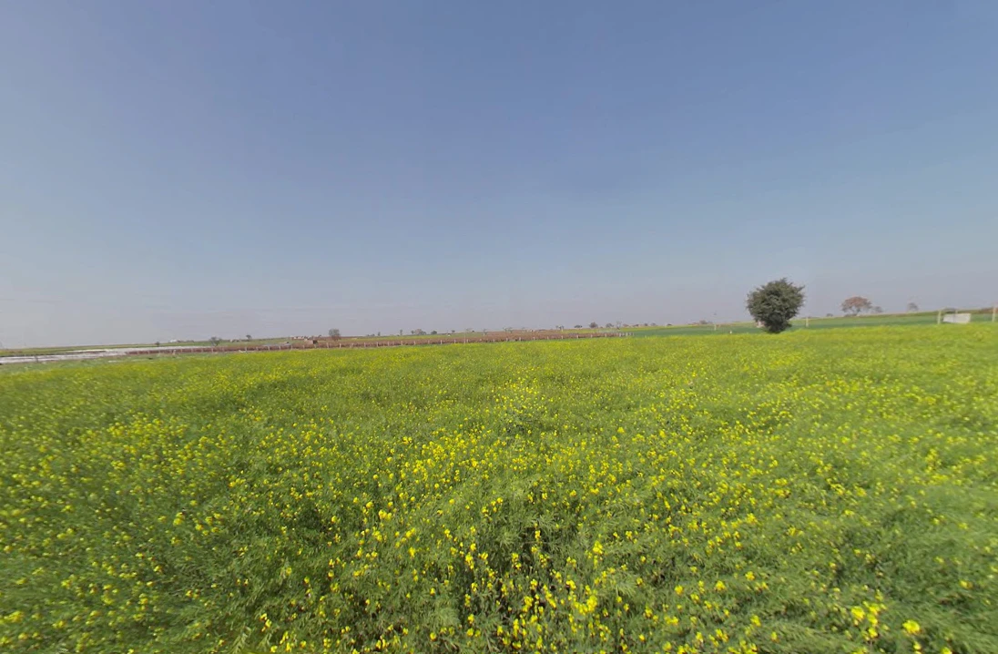 Raiya, Haryana 124103, India