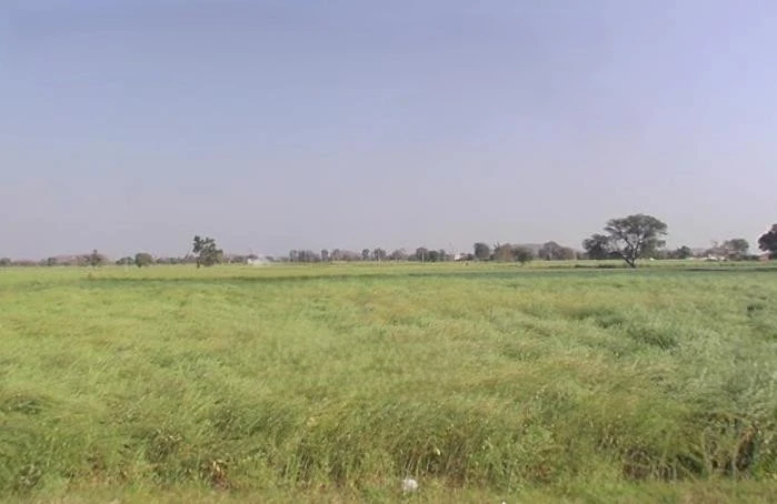 Ramgarh, Rajasthan 301026, India