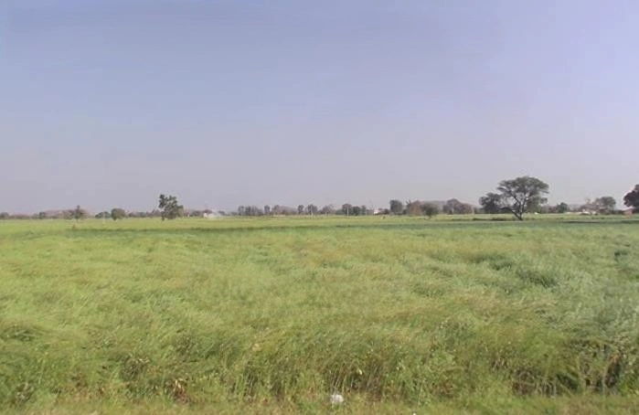 Ramgarh, Rajasthan 301026, India