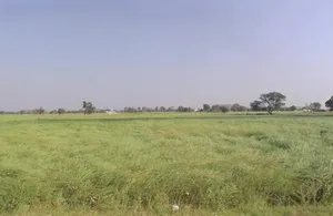 Ramgarh, Rajasthan 301026, India preview 3