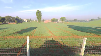 5VQG+7W5, Ghatwada, Rajasthan, India preview 3
