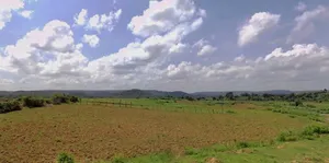 Tarana, Madhya Pradesh 456665, India preview 2