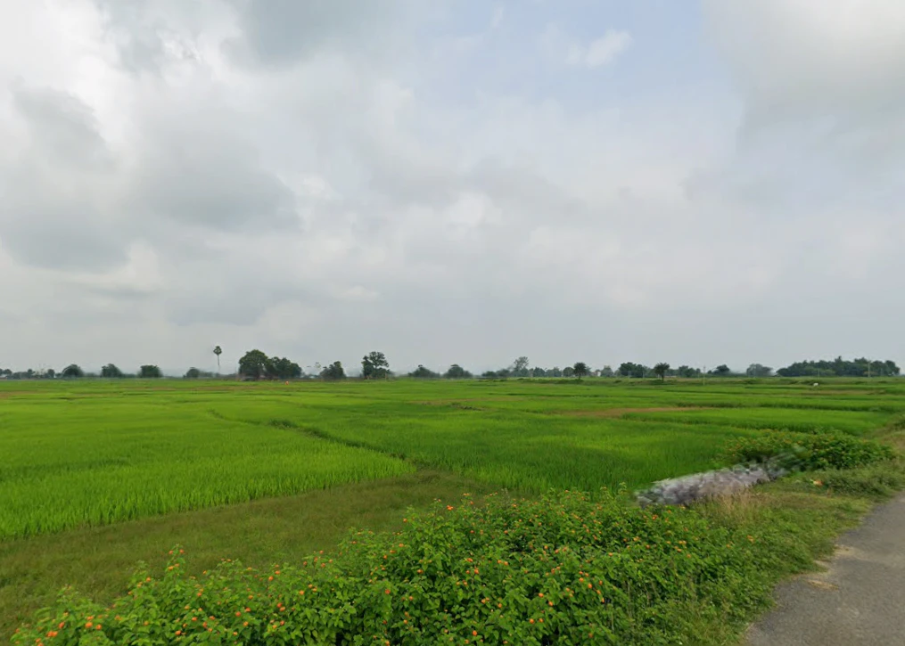 Bhadua, Jharkhand 822115, India