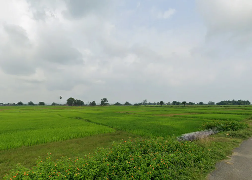 Bhadua, Jharkhand 822115, India preview 3