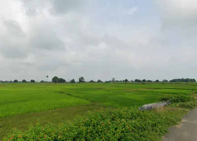 Bhadua, Jharkhand 822115, India preview 3