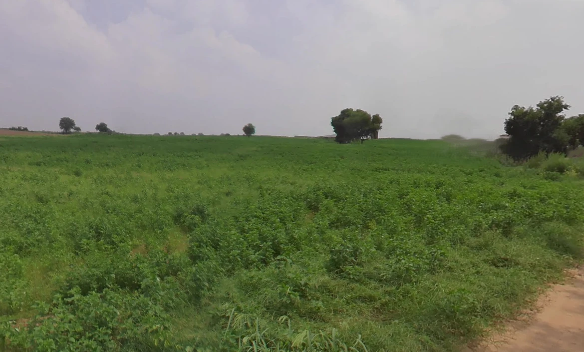 Tosham, Haryana 127040, India