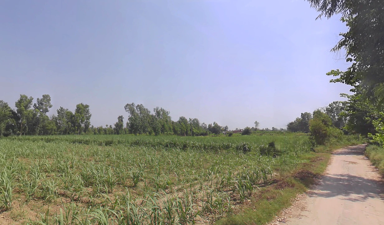 Kanth, Uttar Pradesh 244501, India