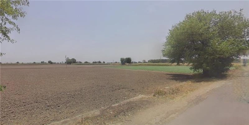 Chamyari, Punjab 143103, India