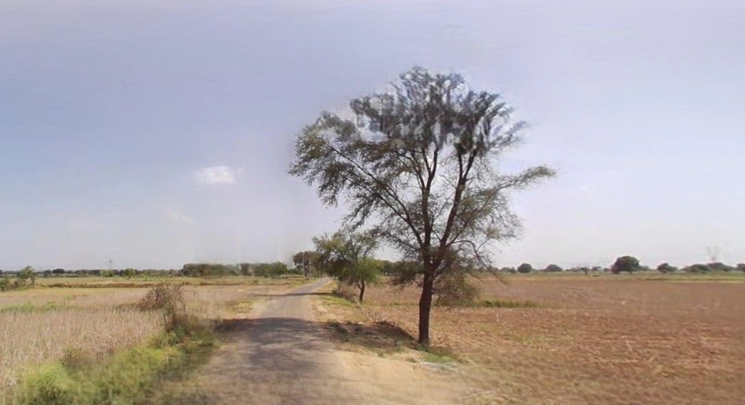 Bazpur, Uttarakhand 262401, India