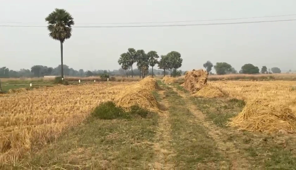 Baruna, Bihar, India