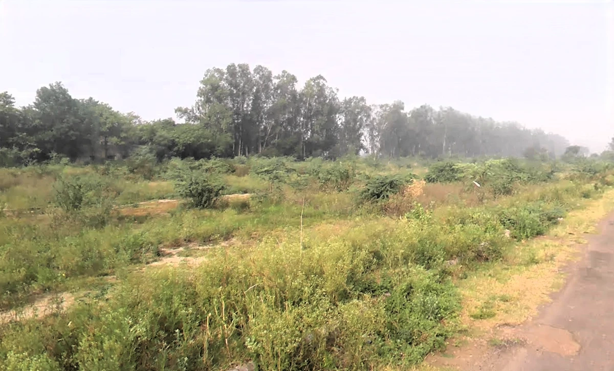 48M8+7C6, Panchwati Colony, Palwal, Haryana 121102, India